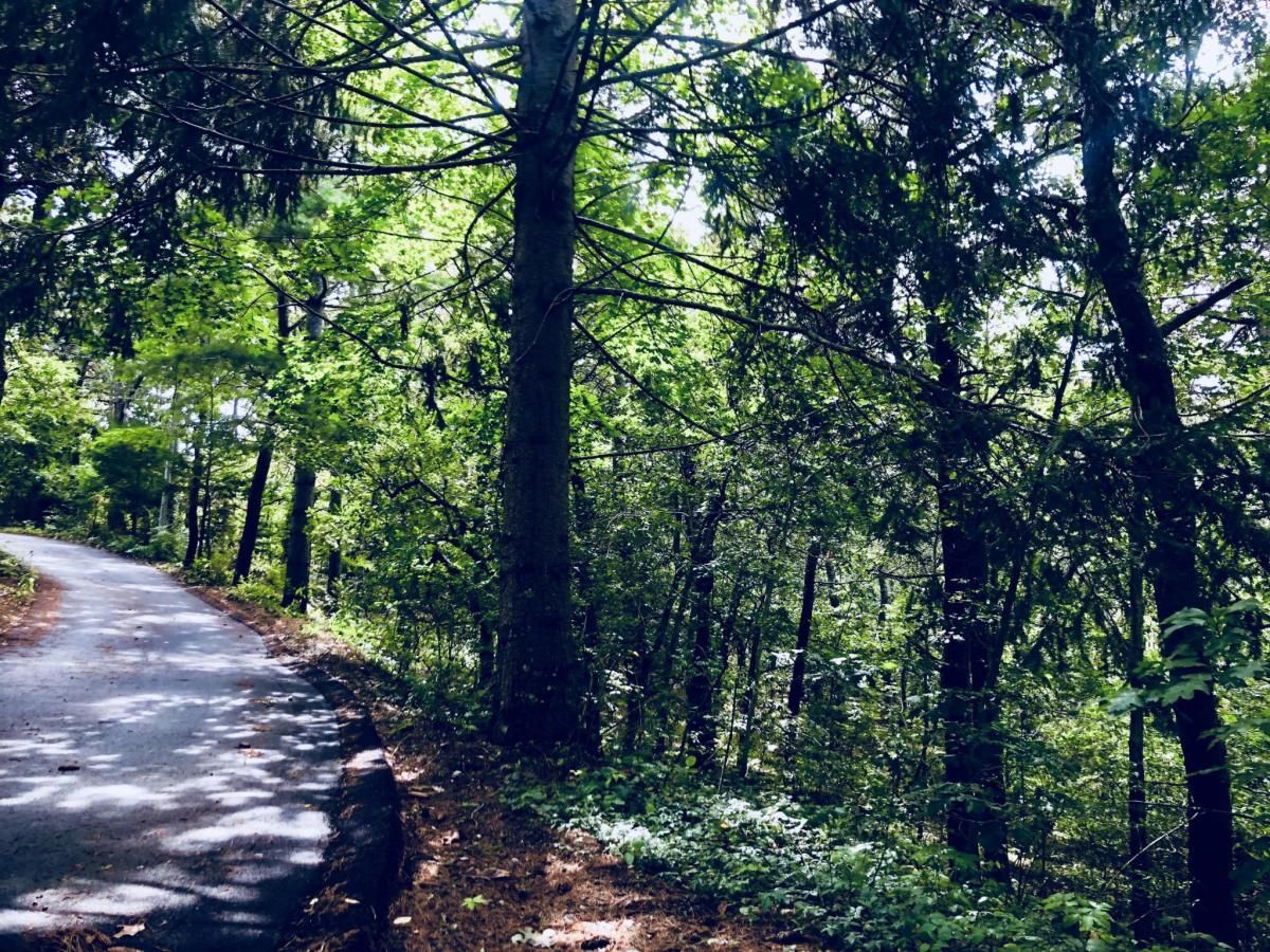 MLS #21807298 image #0