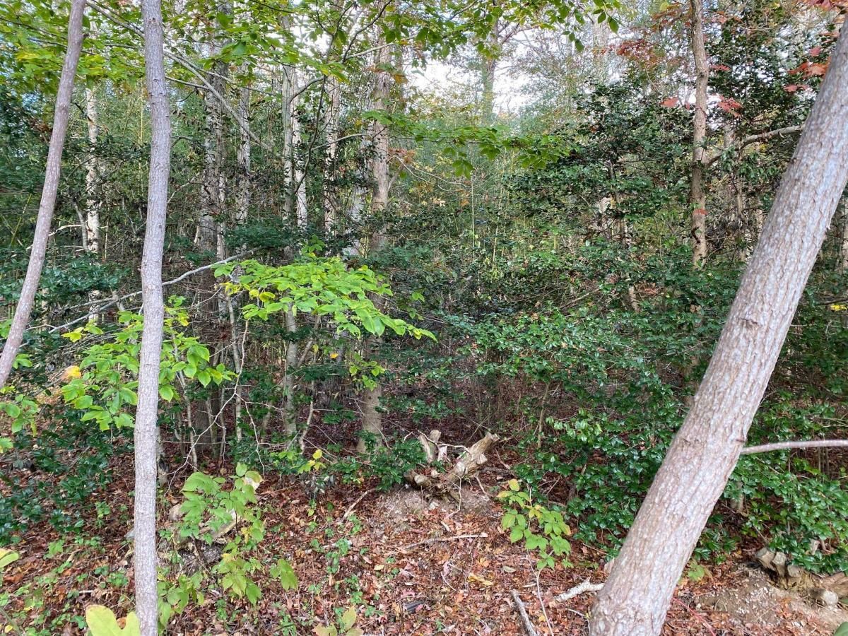 MLS #22007552 image #2
