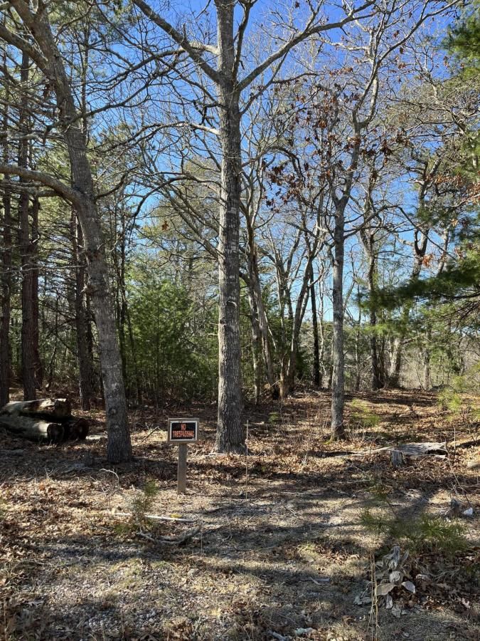 MLS #22401406 image #6