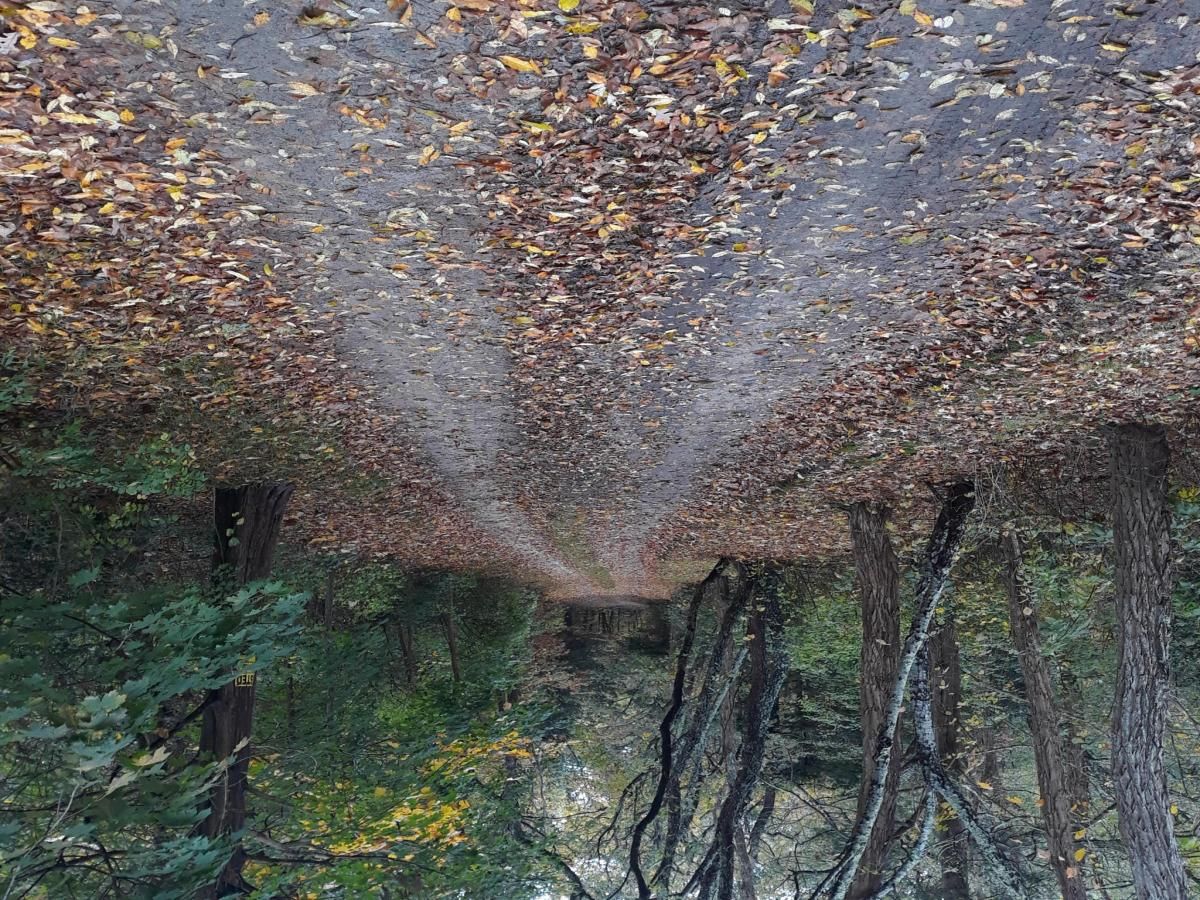 MLS #22402803 image #0