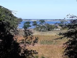 MLS #22403406 image #0