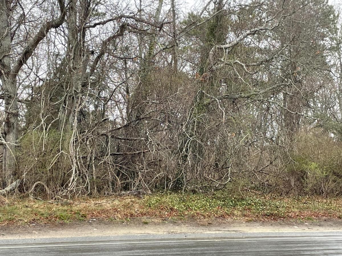 MLS #22501724 image #0