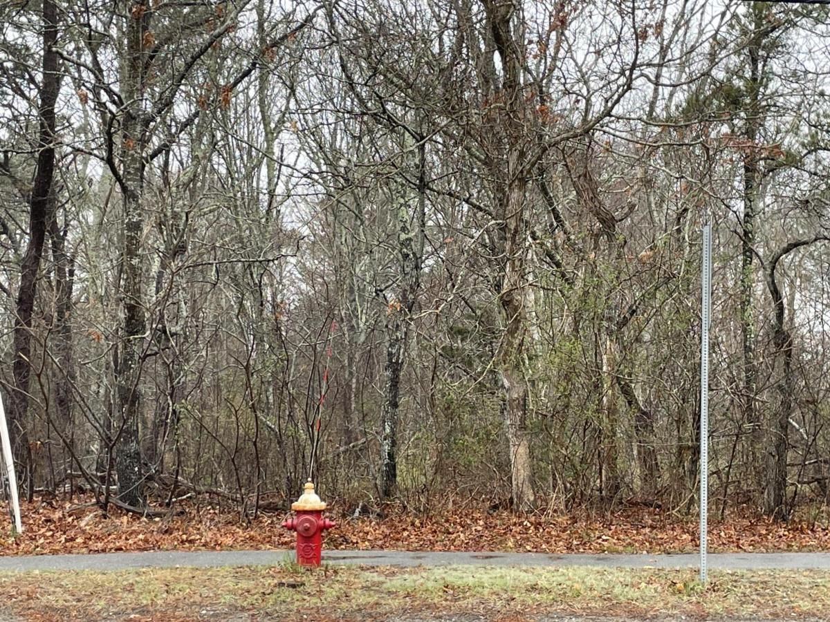 MLS #22501756 image #0