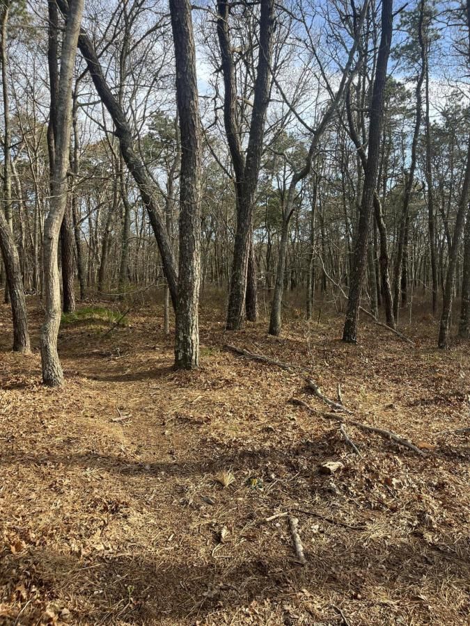 MLS #22502006 image #0