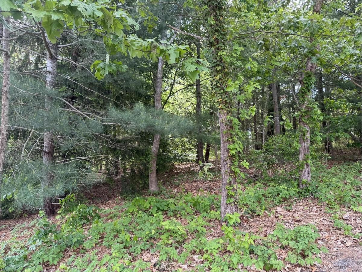 MLS #22502645 image #0