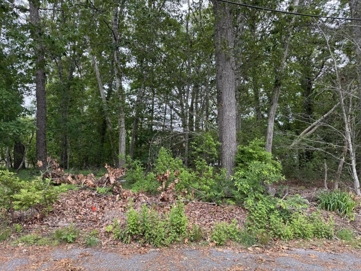 MLS #22502817 image #0