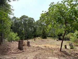 MLS #22503486 image #0