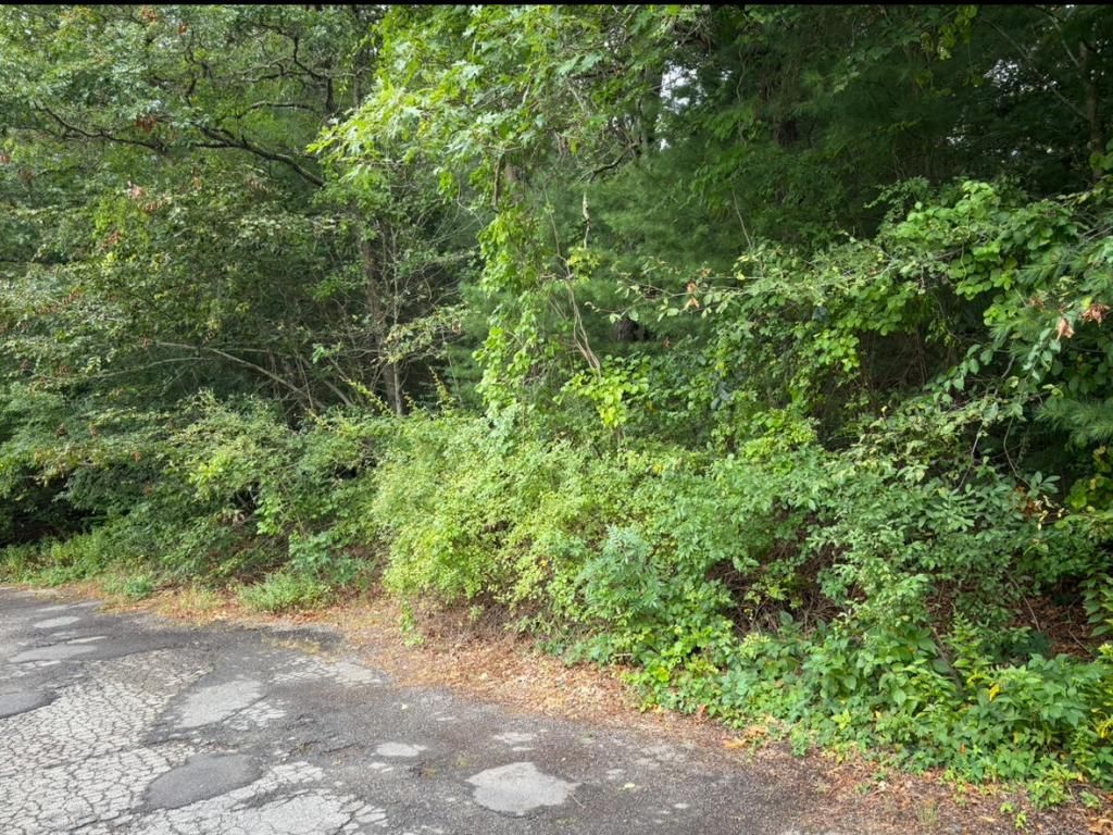 MLS #22504180 image #0