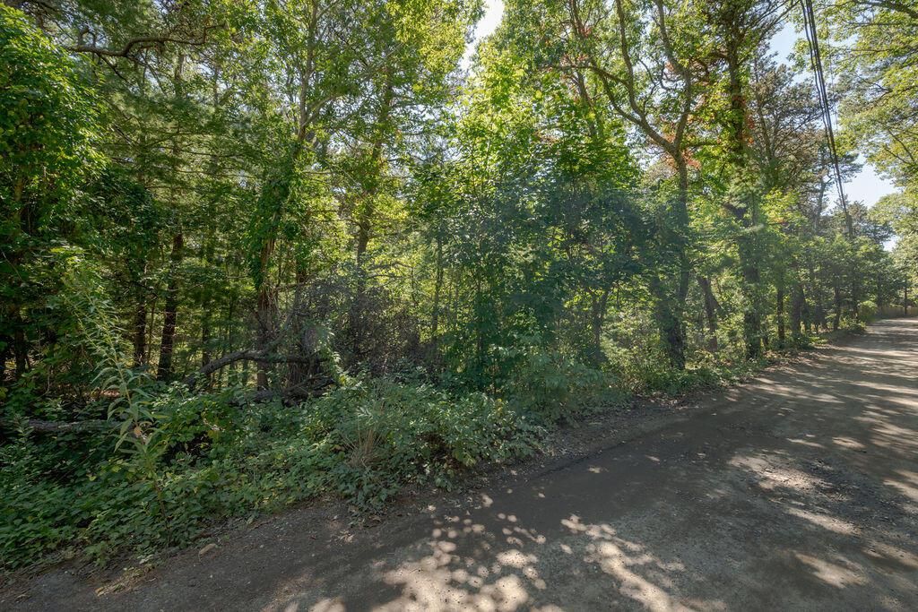 MLS #22504633 image #0