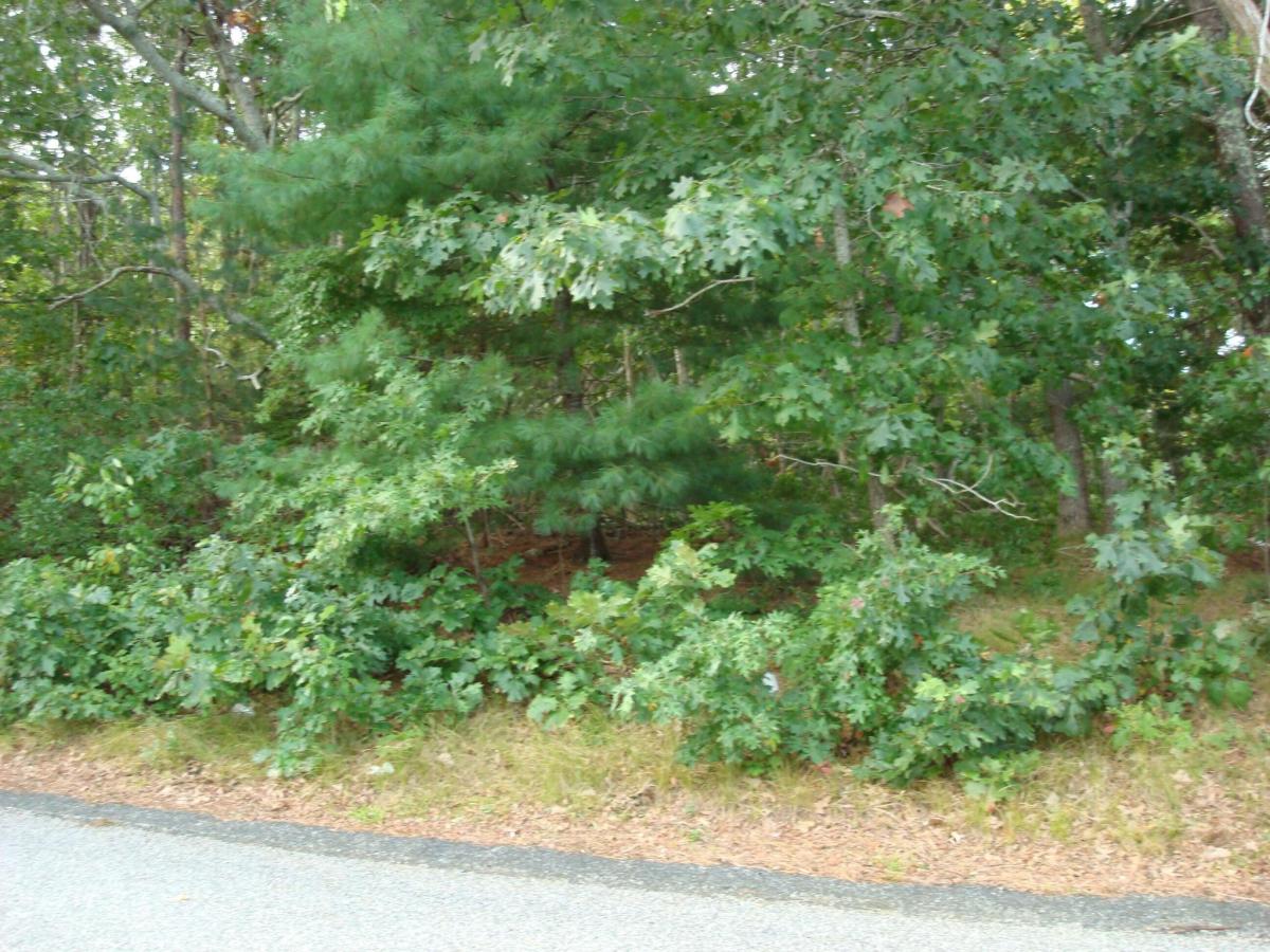 MLS #22504847 image #0