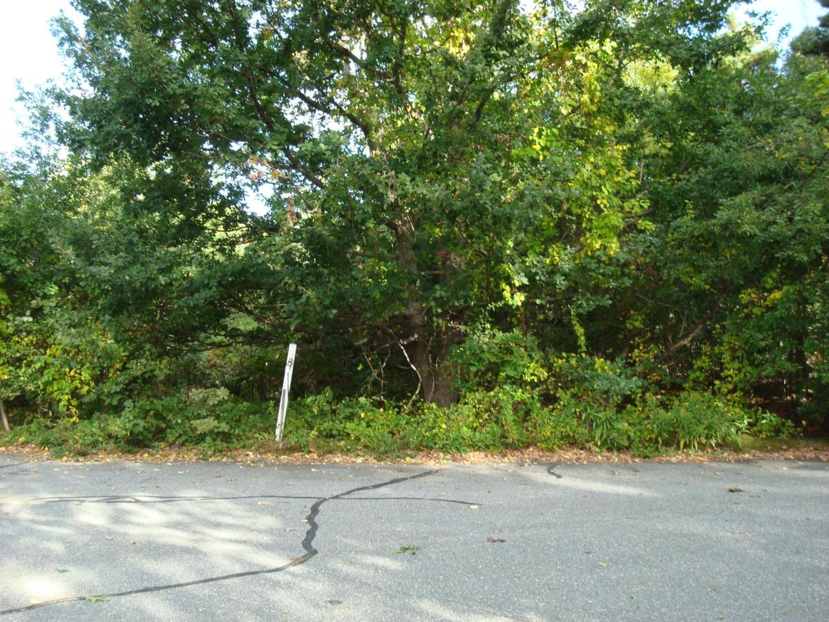 MLS #22504848 image #0