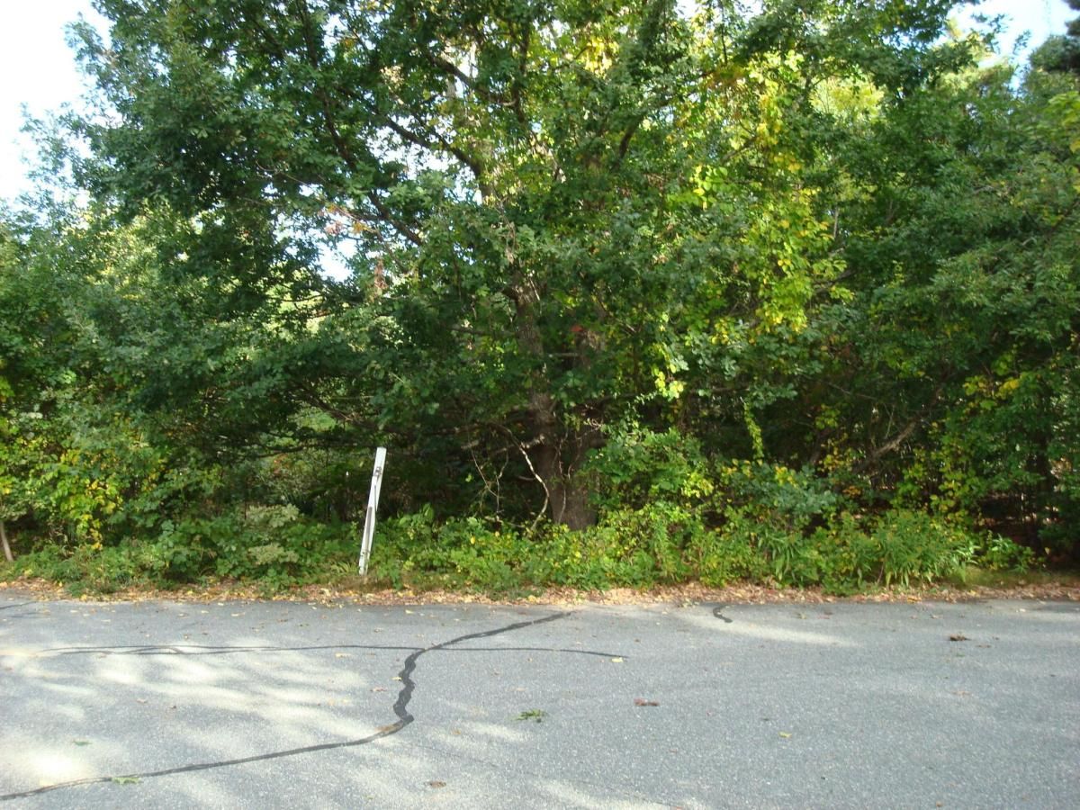 MLS #22504848 image #0