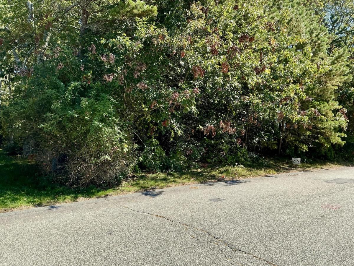 MLS #22504994 image #0