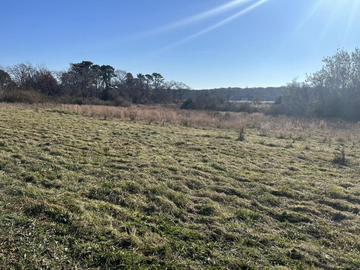 MLS #22505199 image #0