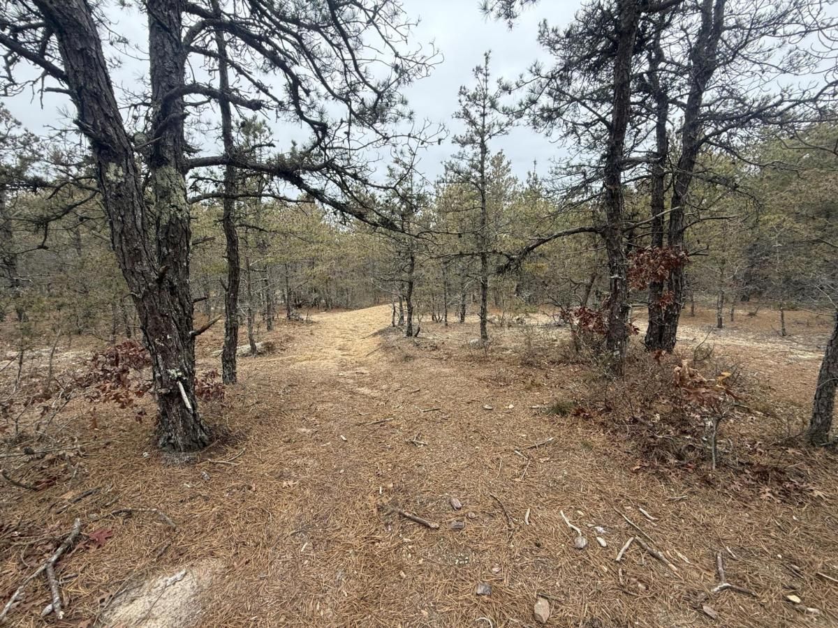 MLS #22505807 image #0