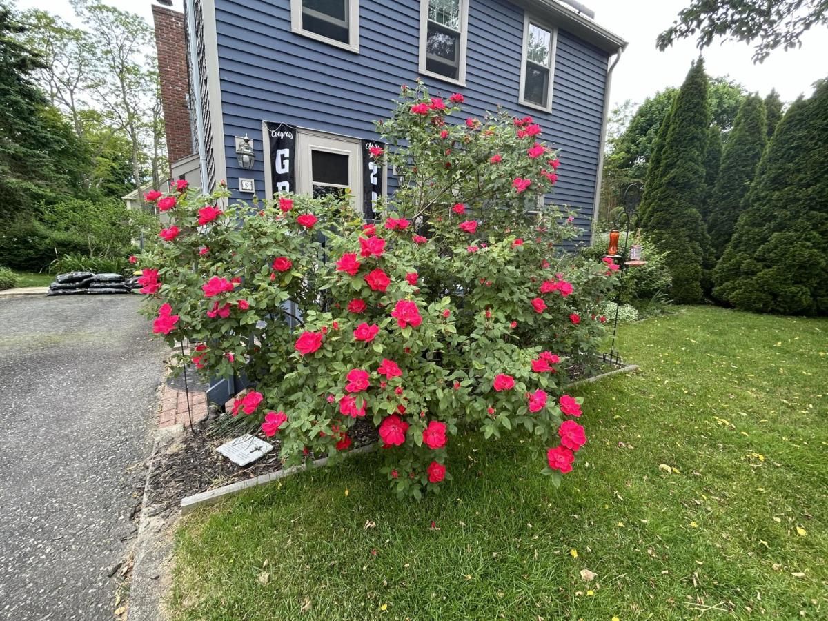 MLS #22600601 image #0