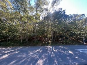 MLS #22601007 image #0