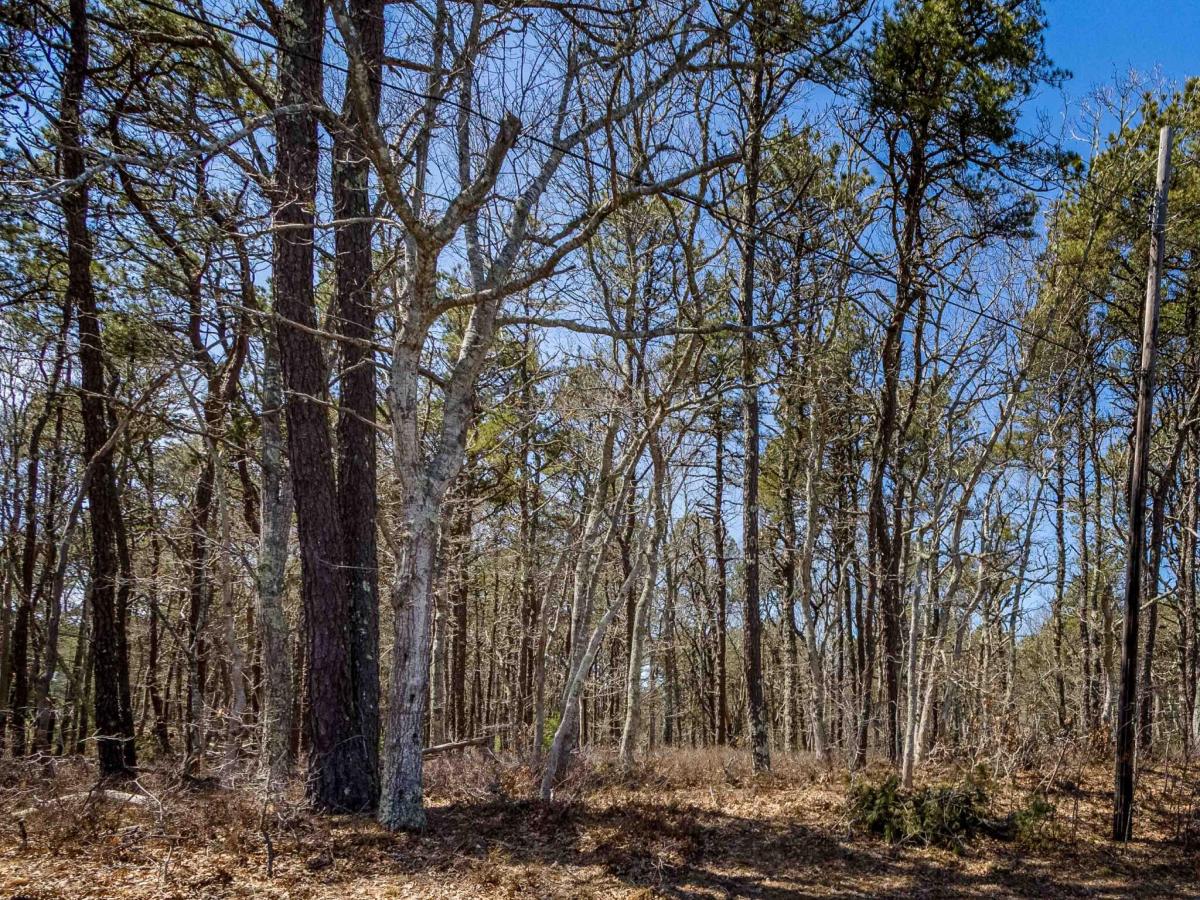 MLS #22601649 image #0